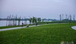 十洲公园爆料视频最新,揭秘公园神秘角落与不为人知的秘密